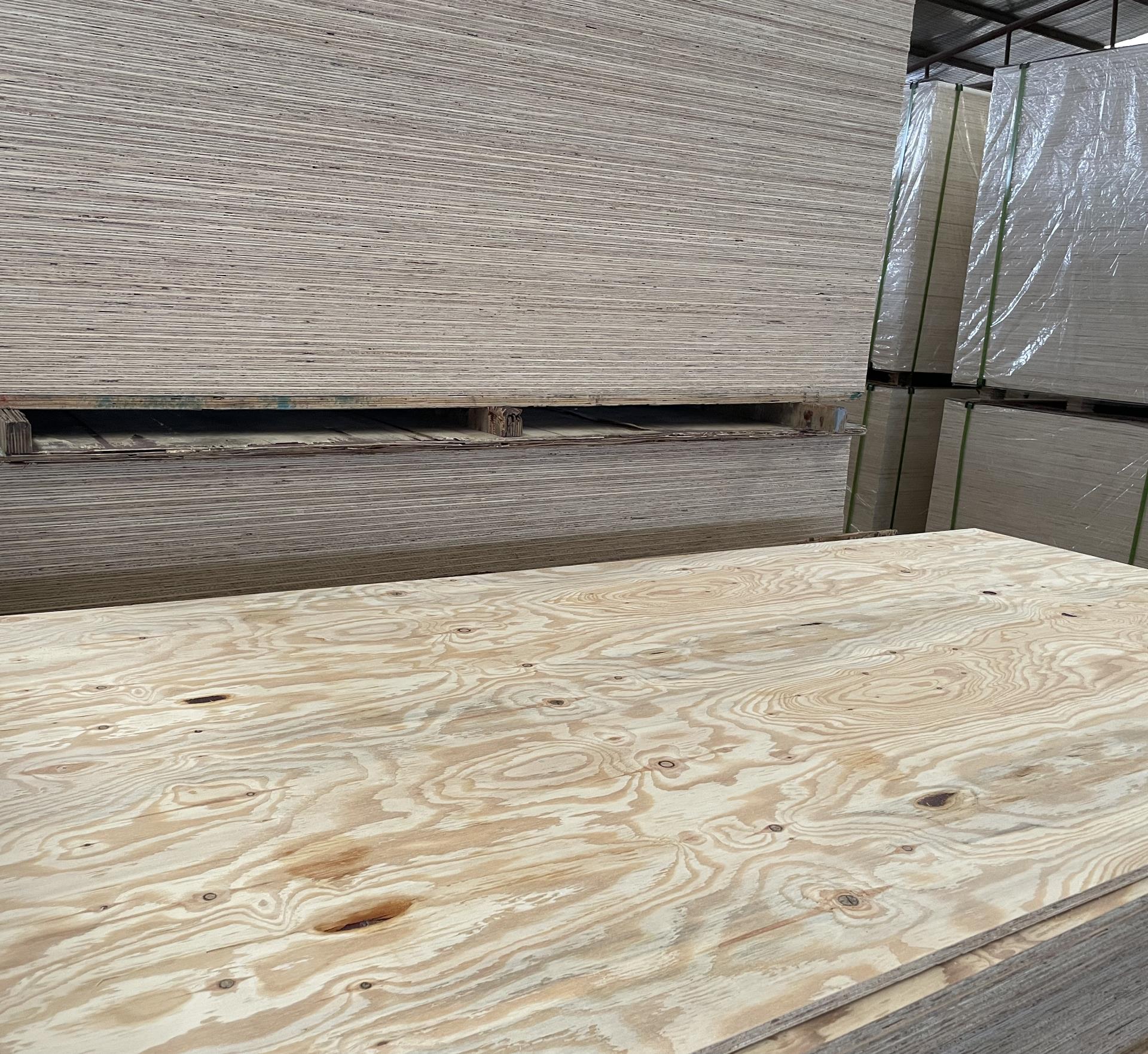 Structural Pine Plywood 9mm 12mm 15mm 18mm for Construction
