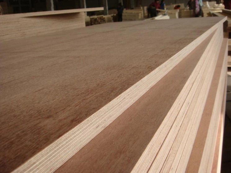 Commercial Plywood -1.jpg